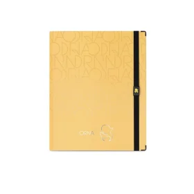 Caderno Organizador Orna Moderna Systemflex Ótima
