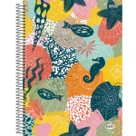 Caderno São Domingos Bom D+ Capa Dura Universitário 80 Fls Sortido